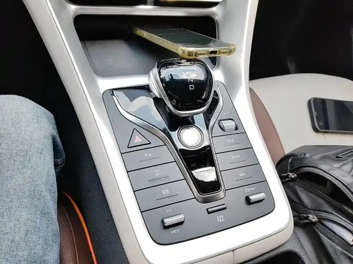 Song Pro New Energy 2024 Glory Edition DM-i 71KM Pilot 14