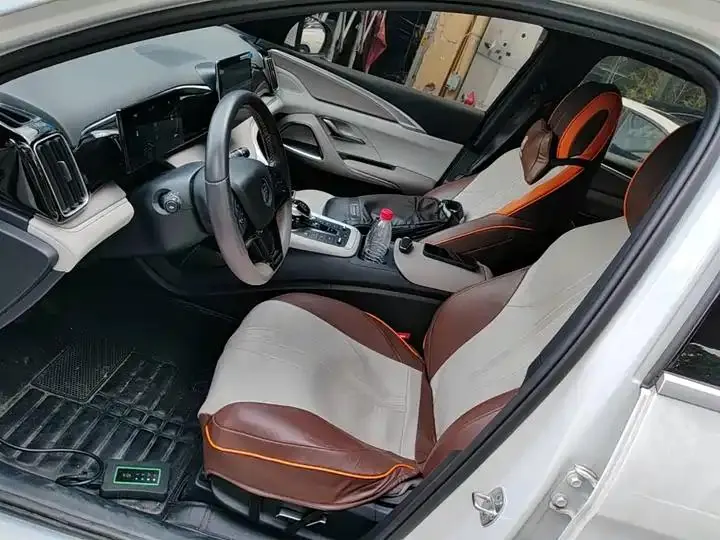 Song Pro New Energy 2024 Glory Edition DM-i 71KM Pilot 15