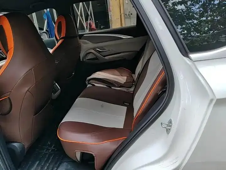 Song Pro New Energy 2024 Glory Edition DM-i 71KM Pilot 17