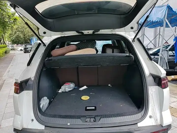 Song Pro New Energy 2024 Glory Edition DM-i 71KM Pilot 19