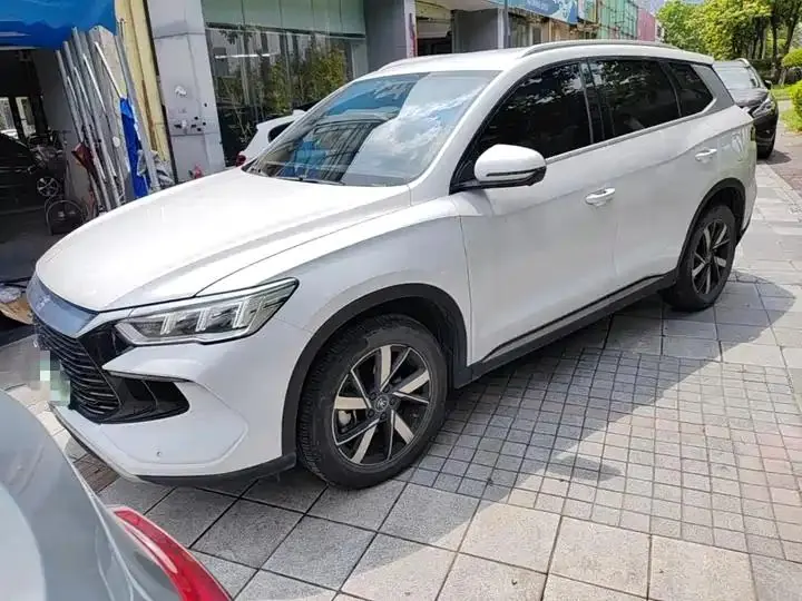Song Pro New Energy 2024 Glory Edition DM-i 71KM Pilot 2