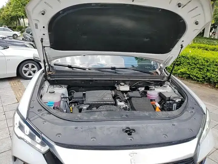 Song Pro New Energy 2024 Glory Edition DM-i 71KM Pilot 20