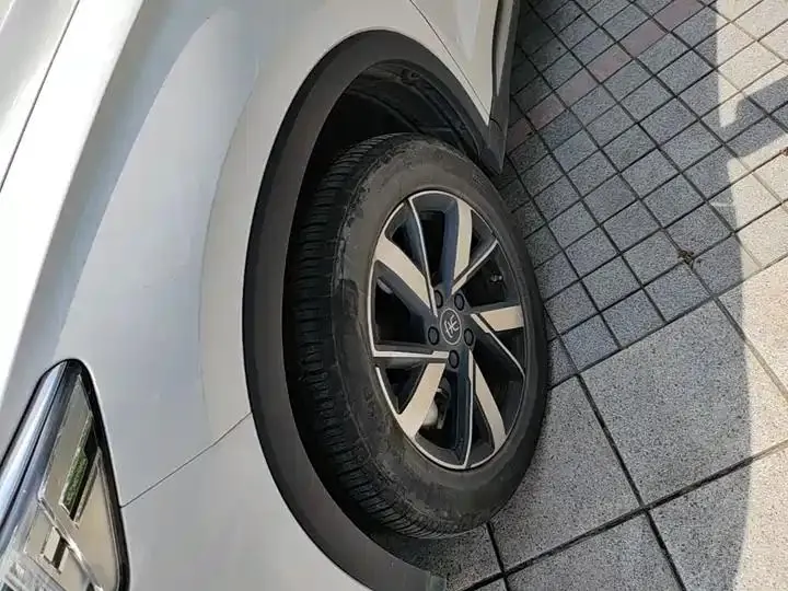 Song Pro New Energy 2024 Glory Edition DM-i 71KM Pilot 23