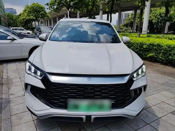 Song Pro New Energy 2024 Glory Edition DM-i 71KM Pilot 3