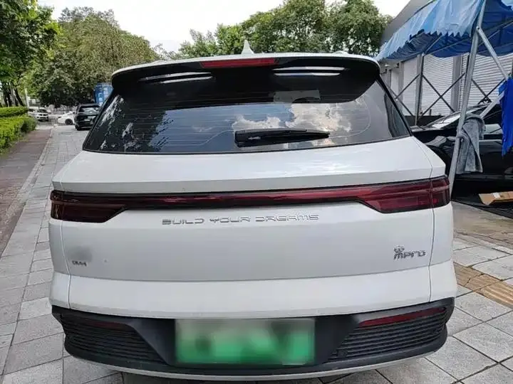 Song Pro New Energy 2024 Glory Edition DM-i 71KM Pilot 6
