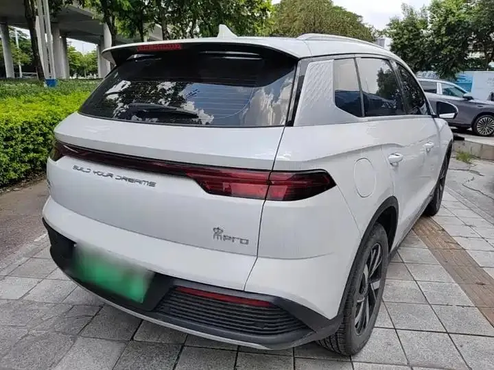 Song Pro New Energy 2024 Glory Edition DM-i 71KM Pilot 7