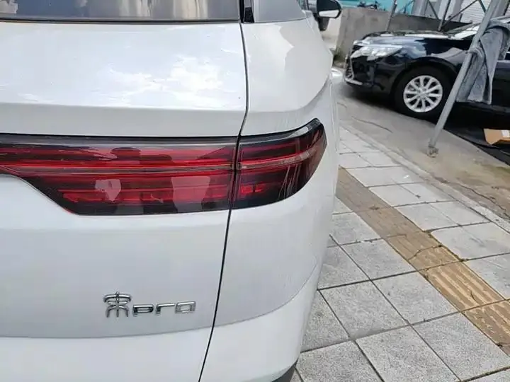 Song Pro New Energy 2024 Glory Edition DM-i 71KM Pilot 8