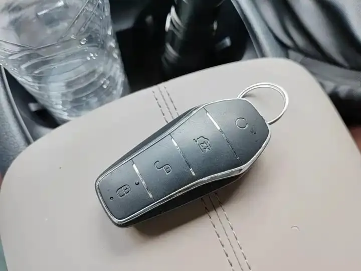 Song Pro New Energy 2024 Glory Edition DM-i 71KM Pilot 9
