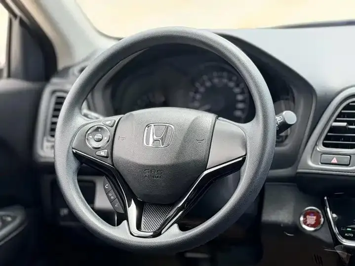 Binzhi 2020 220 TURBO CVT Elite Edition 15