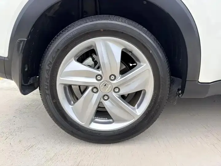 Binzhi 2020 220 TURBO CVT Elite Edition 18
