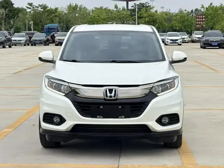 Binzhi 2020 220 TURBO CVT Elite Edition 3
