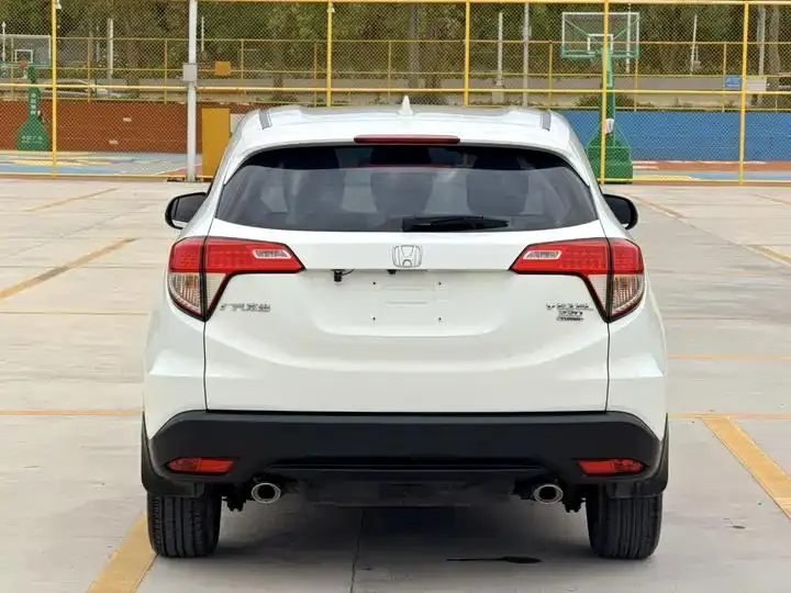 Binzhi 2020 220 TURBO CVT Elite Edition 4