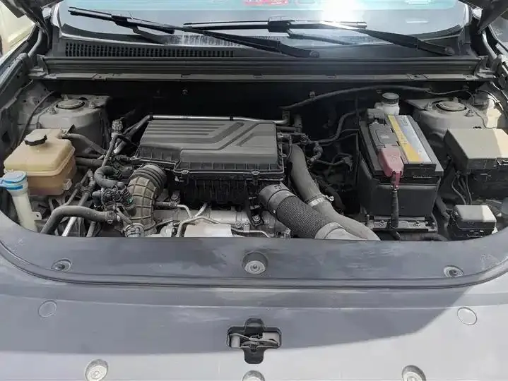 Song Pro 2021 1.5T Auto Xiao Yun Edition Deluxe 10