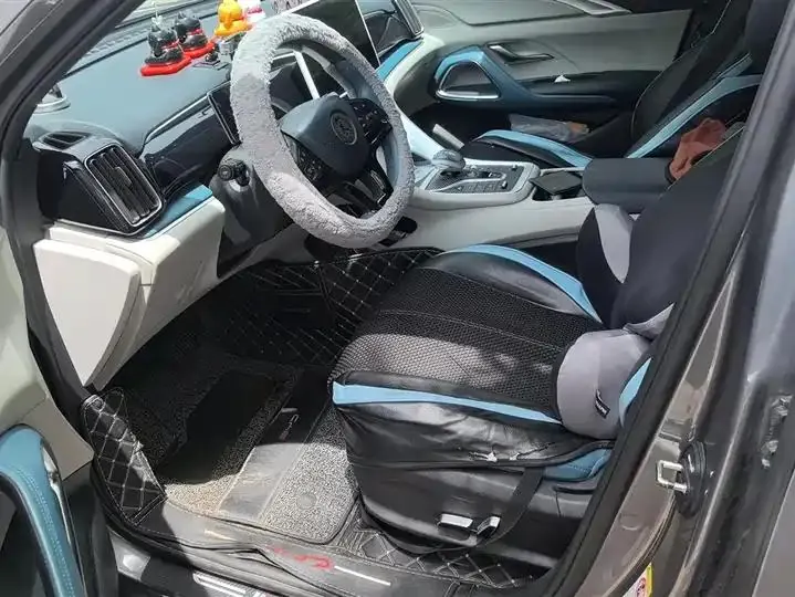 Song Pro 2021 1.5T Auto Xiao Yun Edition Deluxe 9
