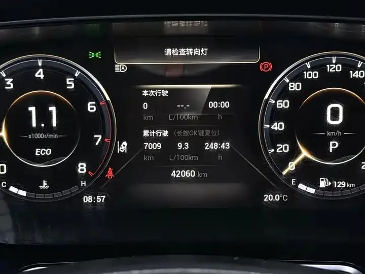 Chuanqi GS4 PLUS 2022 270T Automatic Xinghe Edition 20