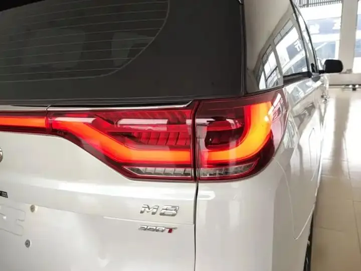 Chuanqi M8 2023 Leading Show Series 390T Premium Edition 24