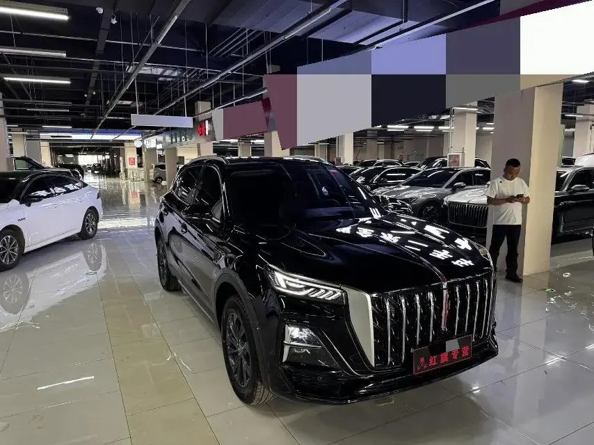 HongQi 2025 HS5 2.0T Two-Drive Flag Collar Pro Edition Automatic Gear 2