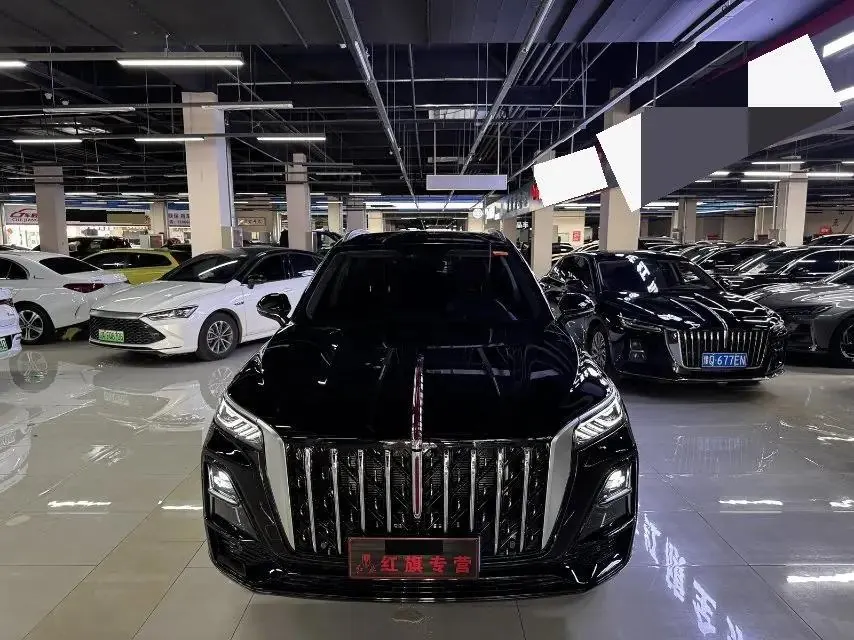 HongQi 2025 HS5 2.0T Two-Drive Flag Collar Pro Edition Automatic Gear 3