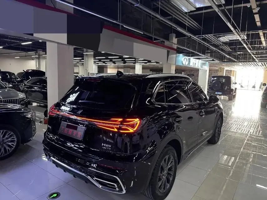 HongQi 2025 HS5 2.0T Two-Drive Flag Collar Pro Edition Automatic Gear 7