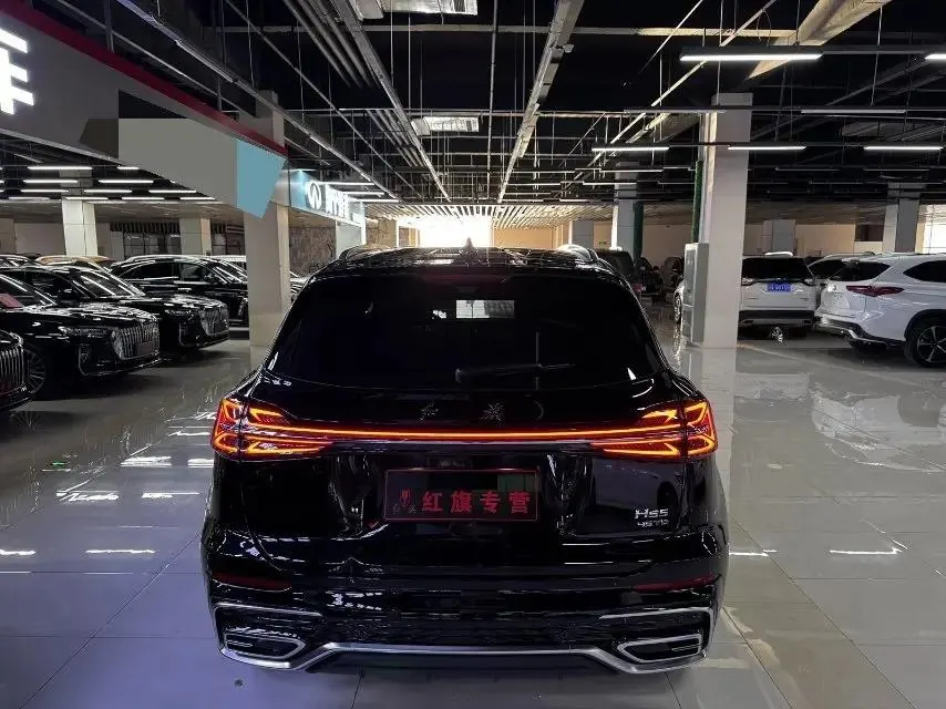 HongQi 2025 HS5 2.0T Two-Drive Flag Collar Pro Edition Automatic Gear 8