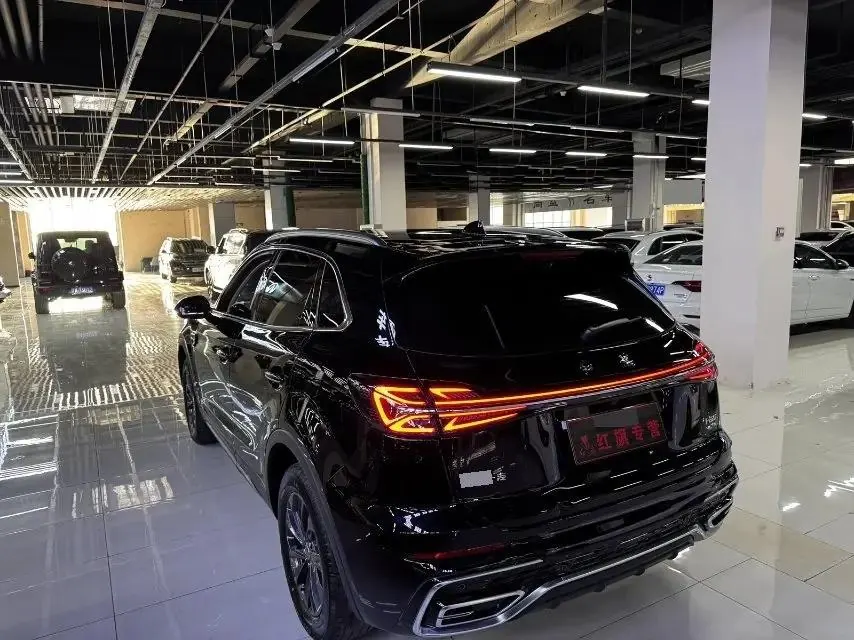 HongQi 2025 HS5 2.0T Two-Drive Flag Collar Pro Edition Automatic Gear 9