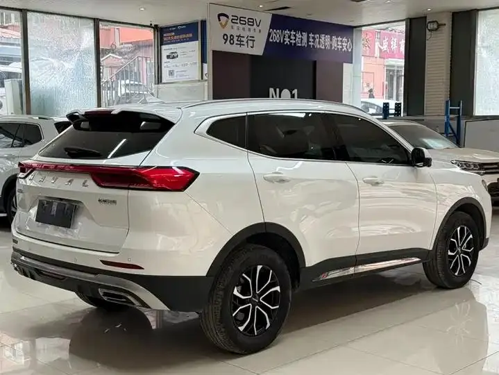 Haval H6 2023 National Tide Edition 1.5T Automatic City Edition 4