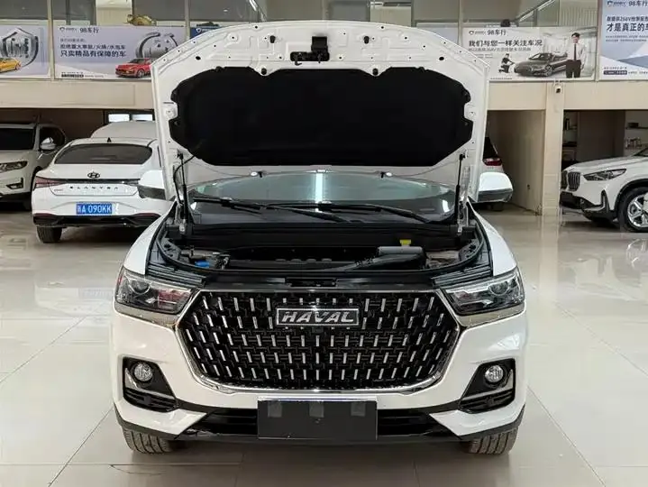 Haval H6 2023 National Tide Edition 1.5T Automatic City Edition 7