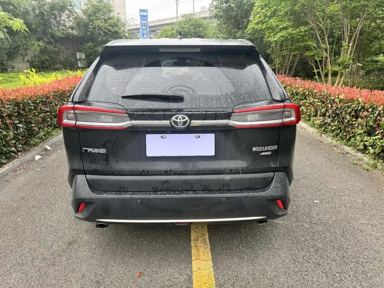 Willanda 2022 2.0L CVT 4WD Luxury PLUS Edition 4