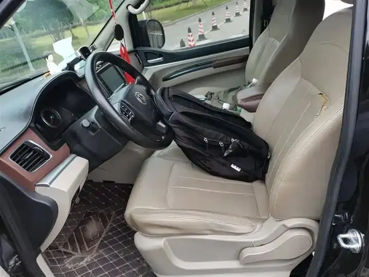 Lingzhi 2020 M5L 1.6L Luxury 7-seat 11