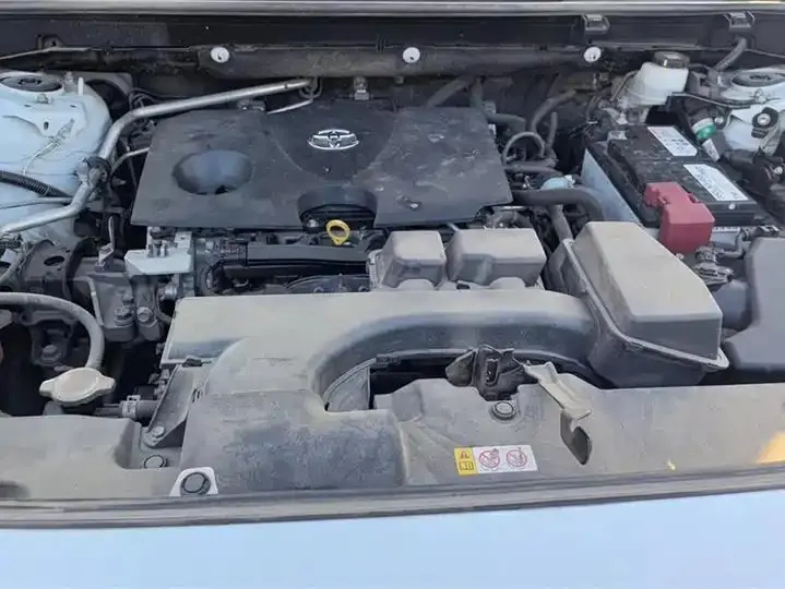 RAV4 RongFang 2023 2.0L CVT Two-Drive Urban Edition 10