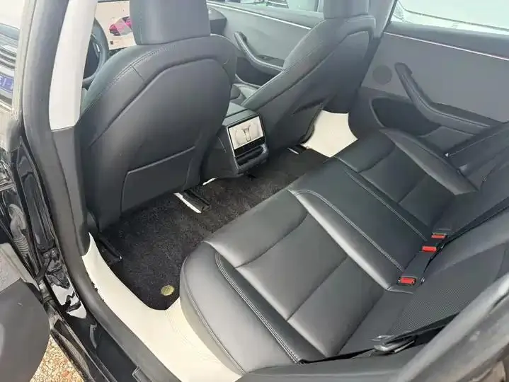 Model 3 2023 rear-wheel drive version 3