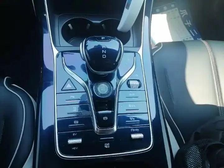 Qin PLUS 2021 DM-i 55KM flagship 14