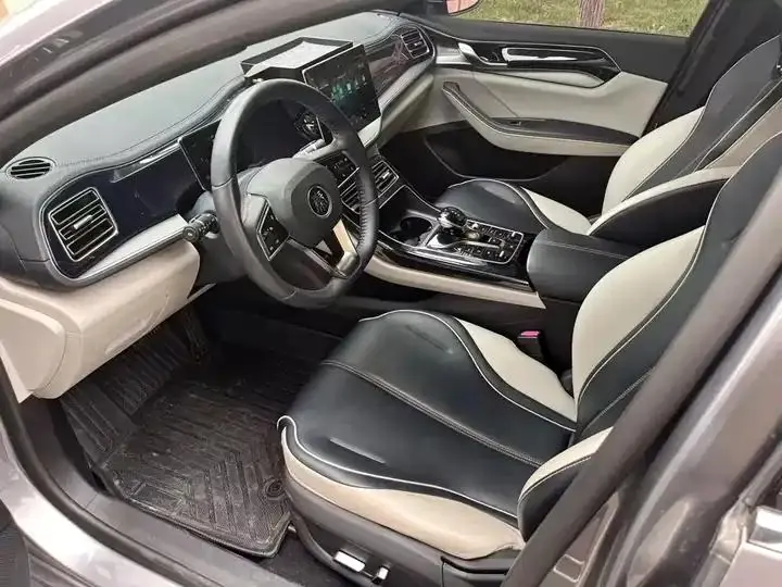 Qin PLUS 2021 DM-i 55KM flagship 15