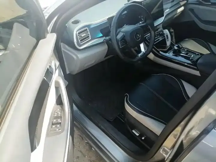 Qin PLUS 2021 DM-i 55KM flagship 16