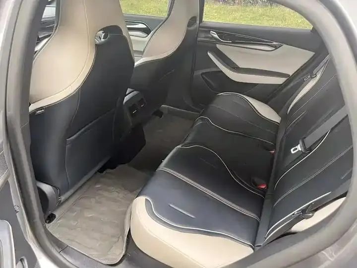 Qin PLUS 2021 DM-i 55KM flagship 17