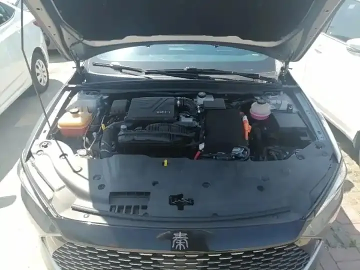 Qin PLUS 2021 DM-i 55KM flagship 20