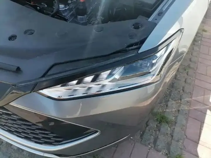 Qin PLUS 2021 DM-i 55KM flagship 24