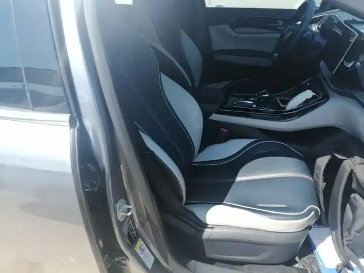 Qin PLUS 2021 DM-i 55KM flagship 25
