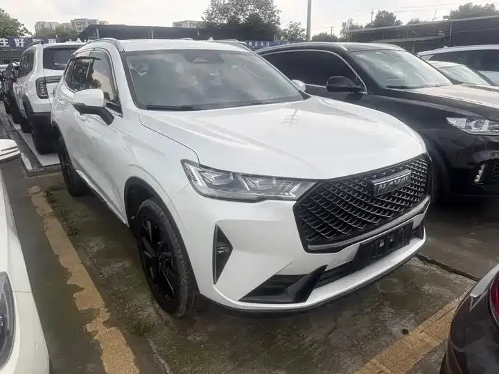 Haval H6 2021 3rd Generation 1.5T Automatic Two-Drive Max 3