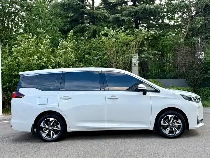 Chuanqi M6 2021 270T DCT Deluxe Edition (7 seats) 8