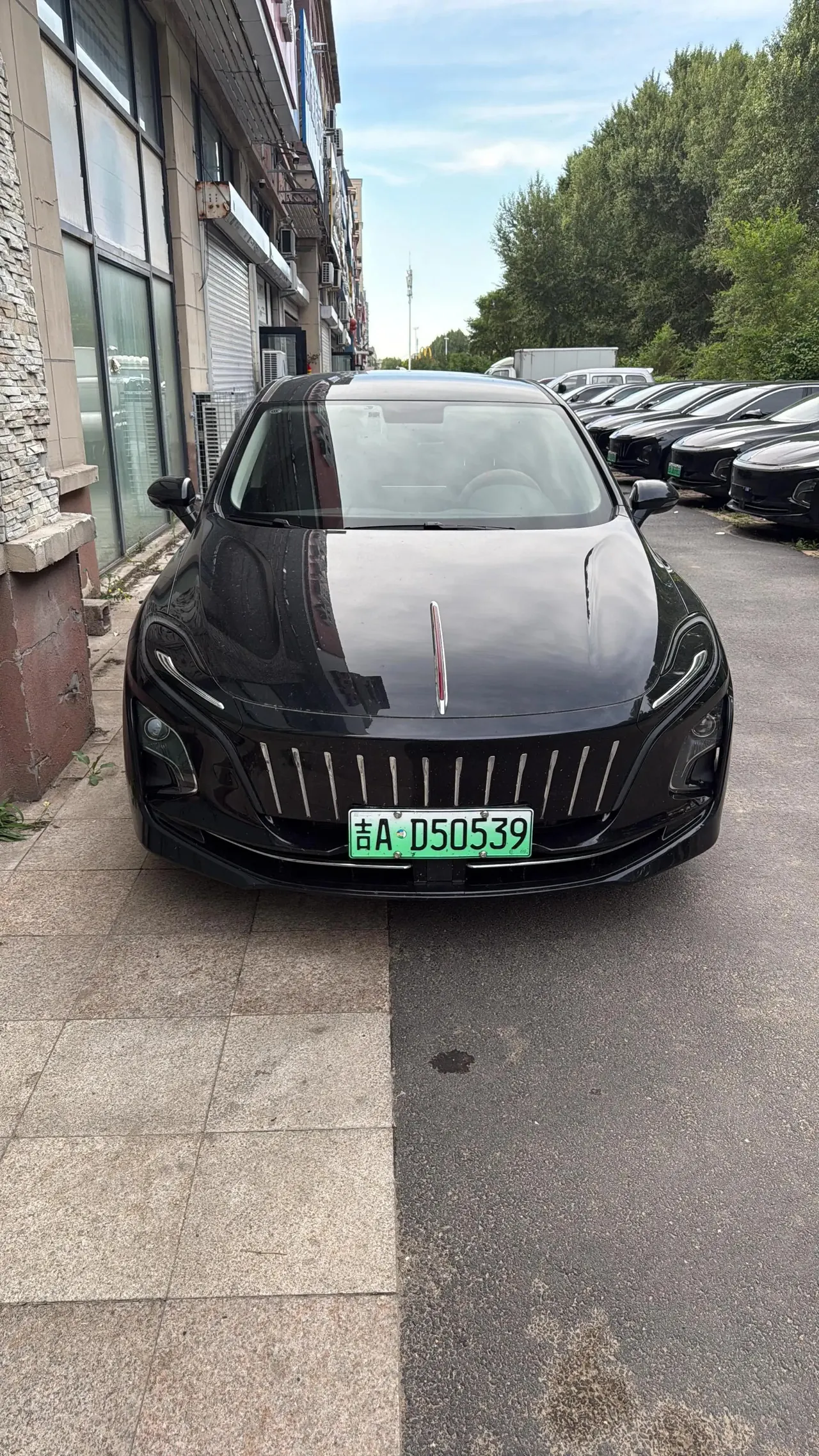 HongQi E-QM5 2023 PLUS 2