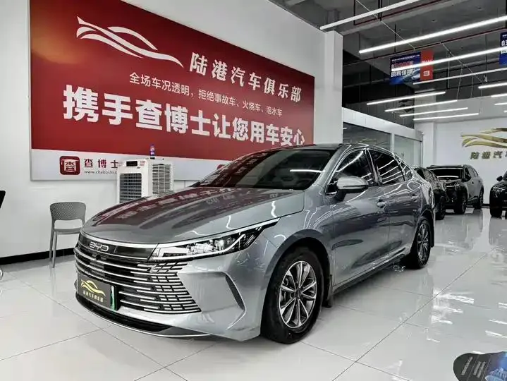 Destroyer 05 2024 Glory Edition DM-i 55KM Luxury Model - View 1