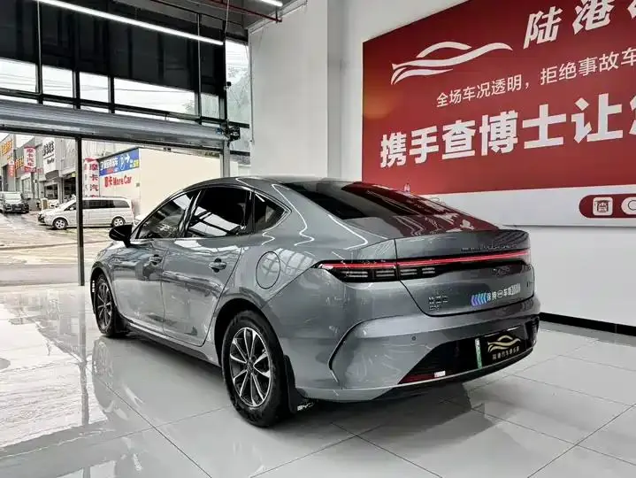 Destroyer 05 2024 Glory Edition DM-i 55KM Luxury Model 13