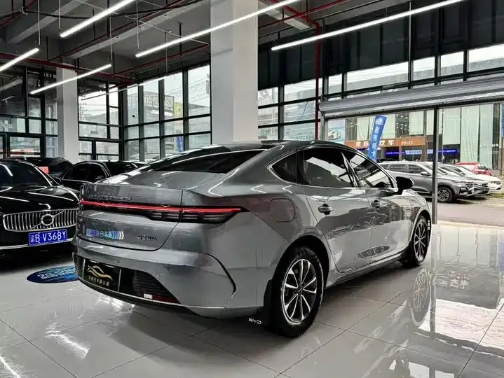 Destroyer 05 2024 Glory Edition DM-i 55KM Luxury Model 15