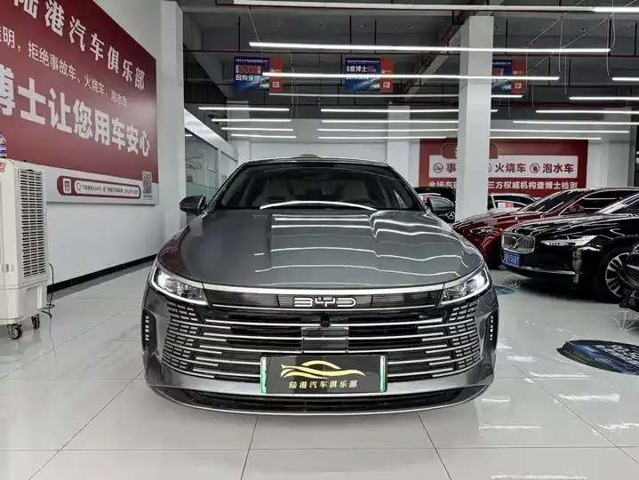 Destroyer 05 2024 Glory Edition DM-i 55KM Luxury Model 2