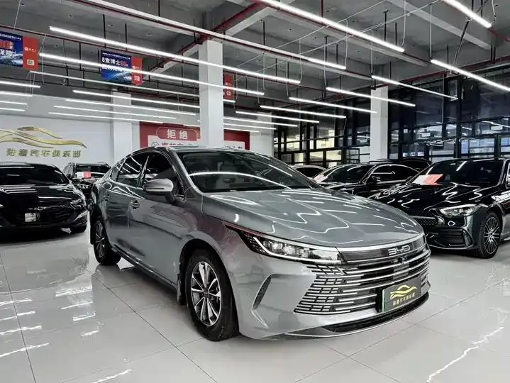 Destroyer 05 2024 Glory Edition DM-i 55KM Luxury Model 3