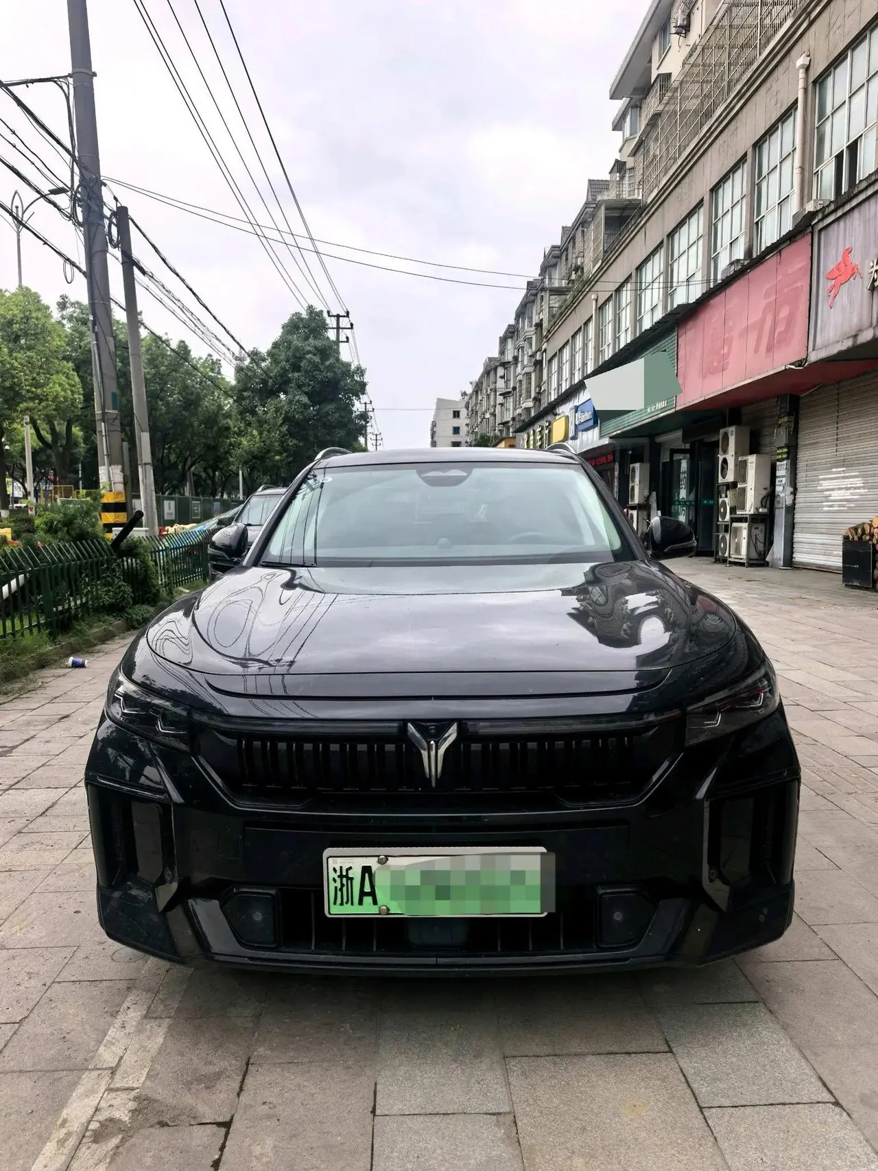Voyah FREE 2024 Super Long Endurance Smart Driving Edition 2