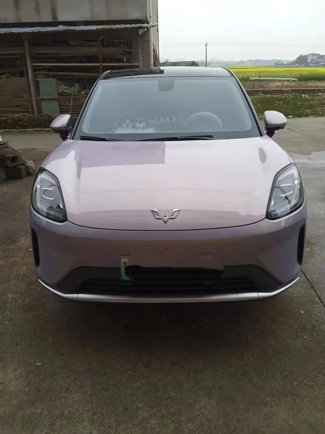 Bingo S 2025 Model, 325 km, Prestige Version 3