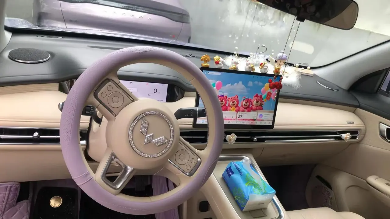 Bingo S 2025 Model, 325 km, Prestige Version 8