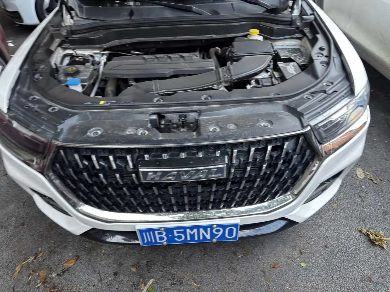 Haval 2023 H6 1.5T National Trend Edition Champion Edition Automatic 2